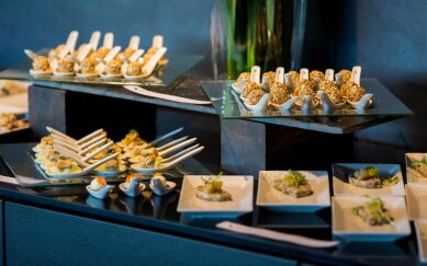 CONFERENCE SERVICES